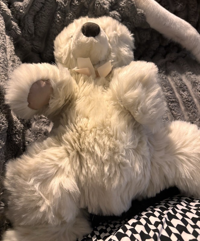 Dakin Fluffy White Teddy Bear Puppet