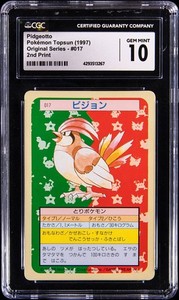 Pokemon Topsun | eBay