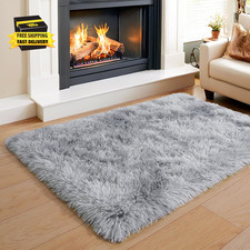 Small Plush Rug 2X3 for Bedroom, Shaggy Bedside Throw Area Rug for Living Room D