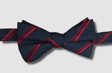  46 Alfani Men's Blue Red Striped Pre-Tied Adjustable Bow Tie
