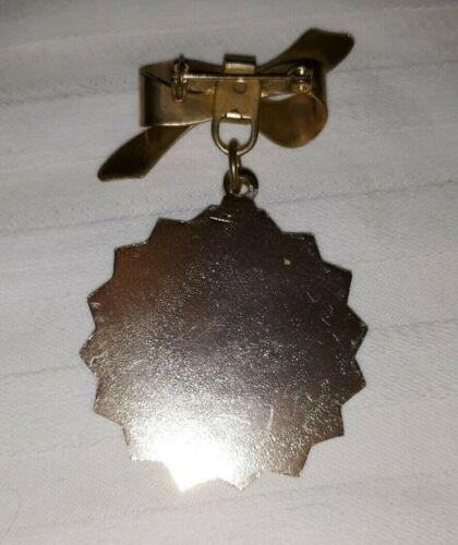 VTG Symbolic Women's Nursing/ Engineering or Biblical??? Pendant Or Lapel Pin - Picture 4 of 4