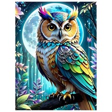Paint by Numbers Kit for Adults Paint by Numbers Kit for Adults Frameless Owl