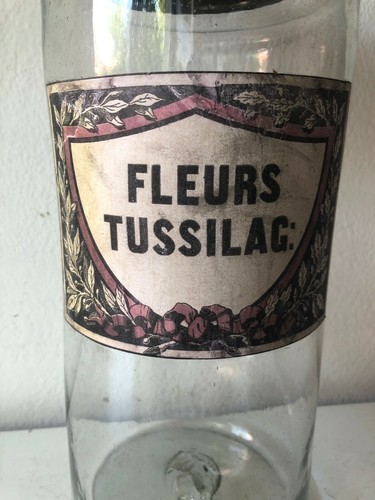 Antico vaso da farmacia/ erboristeria - barattolo - Fleurs Tussilag - Foto 2 di 10