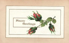 A Sincere Greetings Beautiful Red Young Flowers Vintage Postcard 1910's