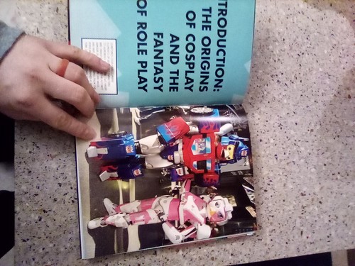 Cosplay : The Fantasy World Of Roleplay by Lauren Orsini - SC - Metro -  *Nice* - Picture 3 of 12