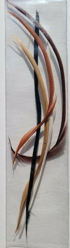 GOOSE BIOTS - 6 Combos - 5 pc/pack - Fly Tying Materials - Wings - Tails - NEW! - Picture 24 of 24