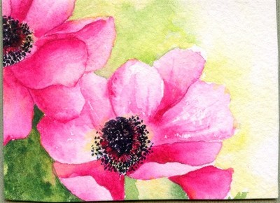 Original watercolor - Art by Sandra Frantz ''Anemone''
