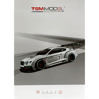 CATALOGO TRUE SCALE MINIATURE 2013 PAG.50 True Scale Miniatures Cataloghi -D- Ne