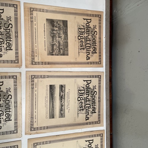 Vintage Spotted Poland China Pig Hog Digest 1925 LOT OF 6 - Picture 2 of 4