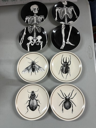 BÖSE CIROA Halloween Käfer Spinne Schädel Skelett Mini Vorspeise 8 Teller Set 6""