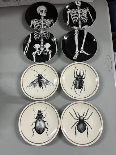 WICKED CIROA Halloween Bug Spider Skull Skeleton Mini Appetizer 8 Plate Set 6” - Picture 1 of 10