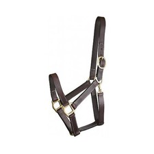 Gatsby Track Style Turnout Halter/Snap