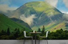 3D  Mountain Forest Wallpaper Wall Mural Removable Self-adhesive Sticker9571
