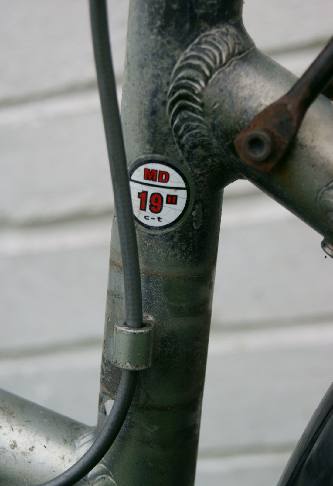 ridgeback meteor ladies