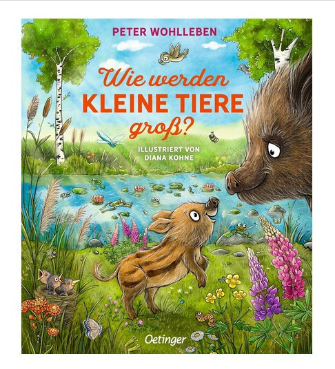 Wie werden kleine Tiere groß? ►►►UNGELESEN ° von Peter und Carina Wohlleben °