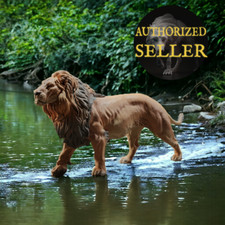 Lion Male walking Resin 3d printed Model Railroad Diorama Animal Den Miniatures