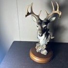 Foto 1 di 14