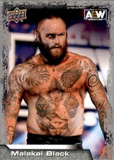 B3344- 2022 Upper Deck AEW Card #s 1-100 +Inserts -You Pick- 15+ FREE US SHIP