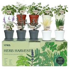 10 Indoor Herb Garden Kit, 33pcs Complete Kitchen Herb Starter Set Including ...
