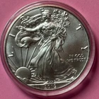 2019 Silver Walking Liberty 1 oz .999 Fine Silver