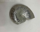 Vintage Kirk Stieff Nautilus Shell clock — photo 2