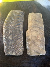 MERINO RAM HORN KNIFE HANDLE MATERIAL  Lg BLANK SCALES 5” x 2 1/8 d 3/8” (M922)