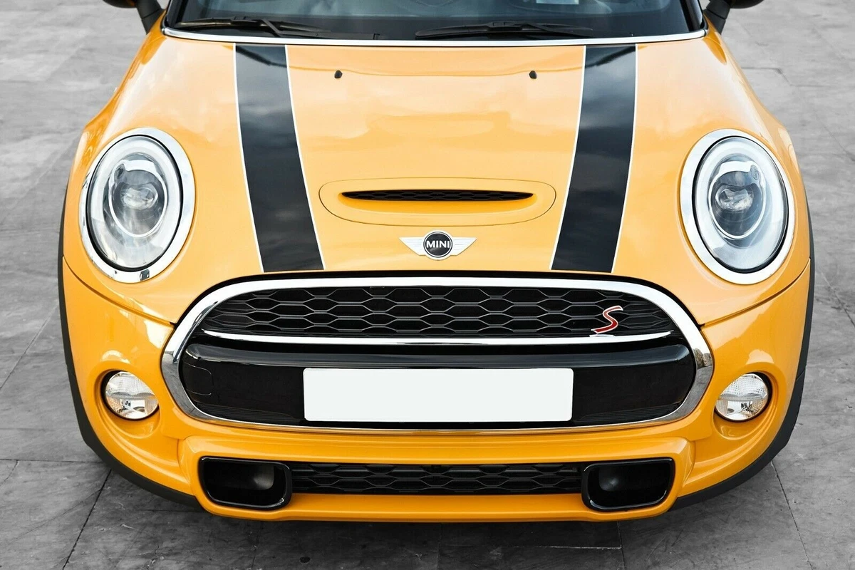 Genuine mini shop bonnet stripes