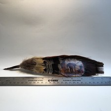 Cowboy Hat Feather Western, Stetson, Resistol, Style, Chief Explain  s Things ,