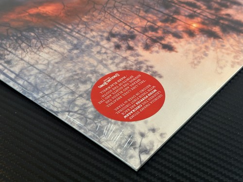 Chickasaw Mudd Puppies Fall Line Vinyl LP - Picture 3 of 6