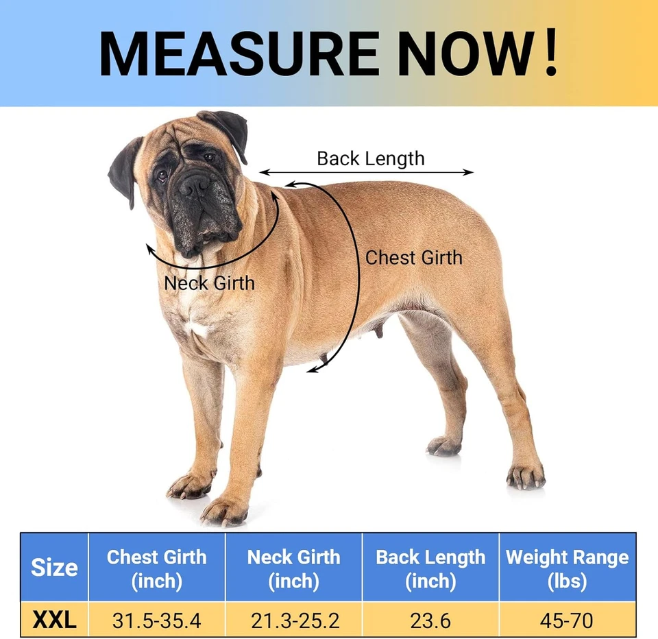 Traje de Esmoquin y Pañuelos para Perro Disfraz de Boda Formal, Collar Ajustable para Mascotas con Foto 2 de 4