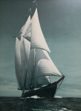 Bluenose II Vintage XL Photo