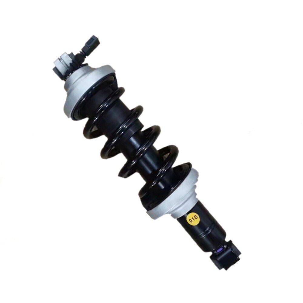 Audi R8 2016-2021 REAR Shock absorber
