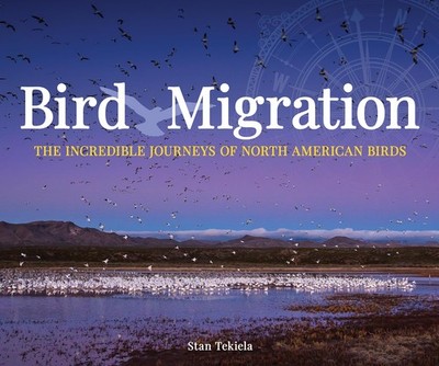 Bird Migration: The Incredible Journeys of North American Birds (Wildlife Ap...