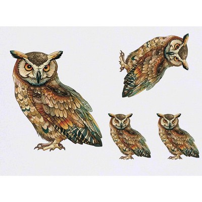 4 x 'Deko Eule' Temporäre Tattoos / Transfers (TO00093866)