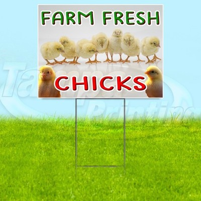FARM FRESH CHICKS 18x24 Yard Sign Plastic Corrugated WITH STAKE USA YS07711