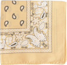 22 Inch Cotton Paisley Bandana