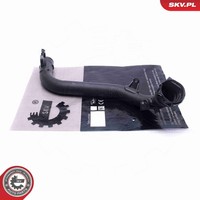 Esen SKV Ladeluftschlauch 43SKV099 Kunststoff FüR Nissan Cube Z12 NV200 Evalia