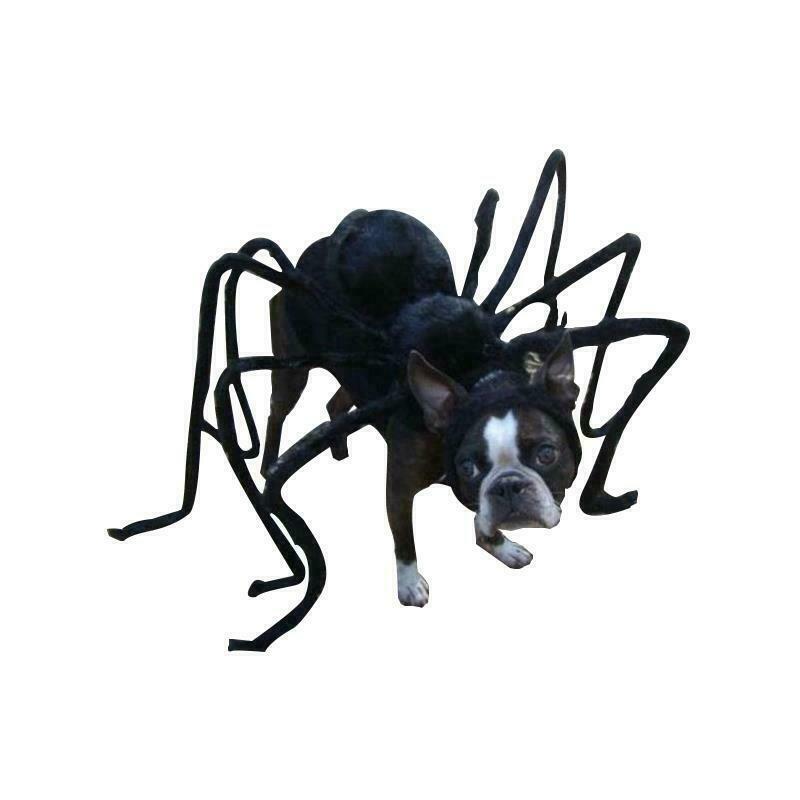 Dog Spider Costume Outfit Halloween Suit Giant Spiders Small Puppy