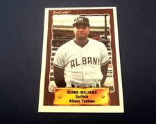 1990 CMC Pro Cards Minor League Baseball Bernie Williams #789 NM-MT