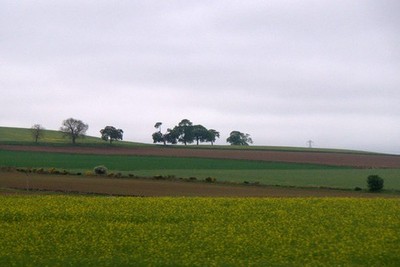 Photo 6x4 Fields from the Forfar bypass  c2017