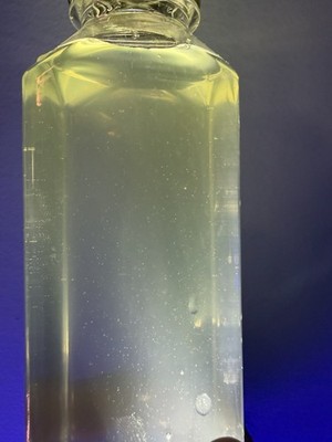 L-TYPE ROTIFERS LIVE 64 Oz