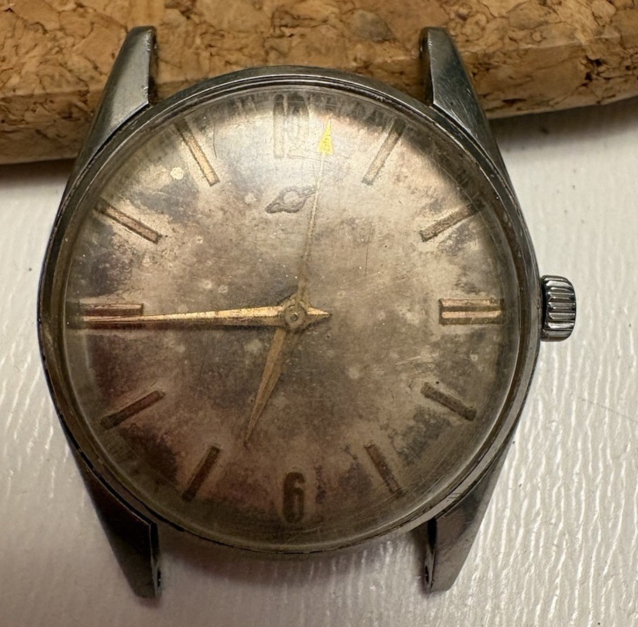 ENICAR Ultrasonic Waterproof Manual Wind Watch 25 jewels AR 1120 movement Works