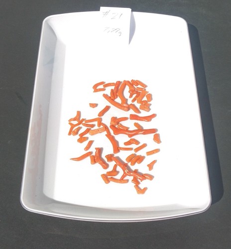 Natural Old Harvest Orange Red Branch Coral Drilled Beads 8.88grams