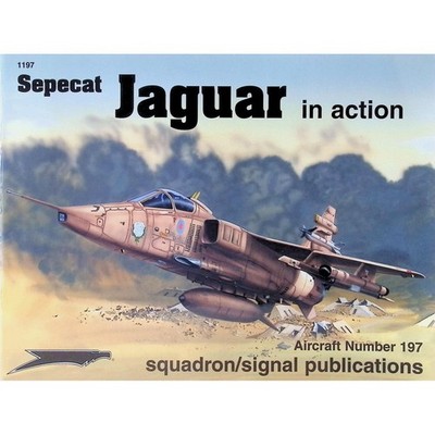 Sepecat Jaguar in action. Gebhardt, David, Glenn Ashley  und Darren Glenn: