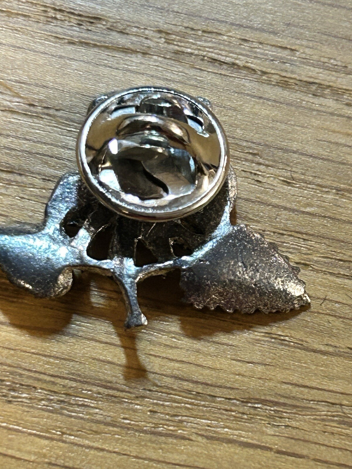Picture 7 of 15