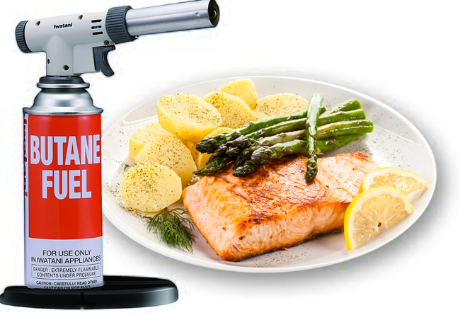 Iwatani PRO Culinary Butane Torch – 2700°F Pro Grade + Stand Made in Japan