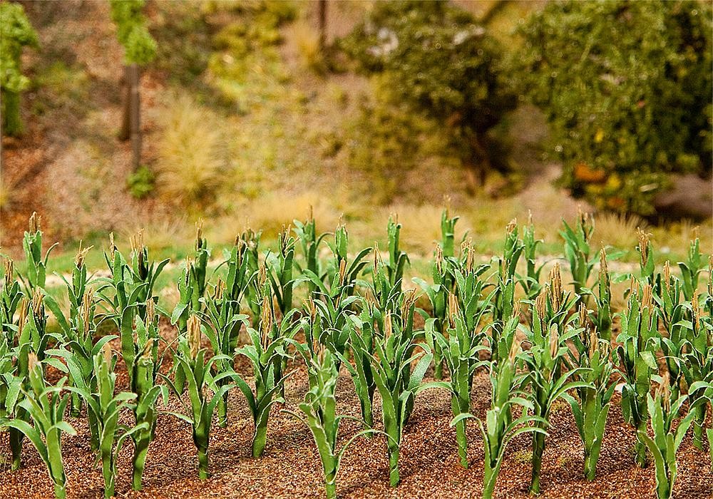 Faller 181250 - 36 Corn Plants - New