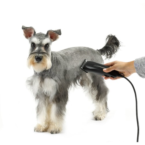 Oster Calm Clips Medium Duty Clipper Grooming Kit for Dogs & Cats - Picture 11 of 12