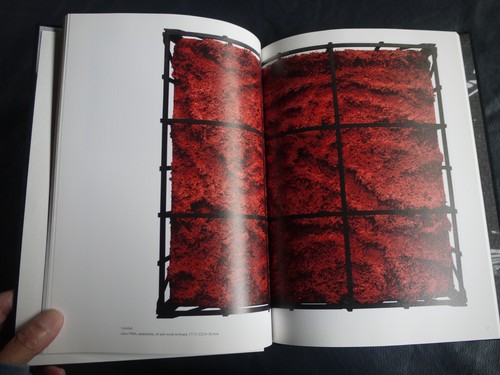 Chiyu Uemae: A Solitary Path. Whitestone Gallery, 2015 - Foto 10 di 16