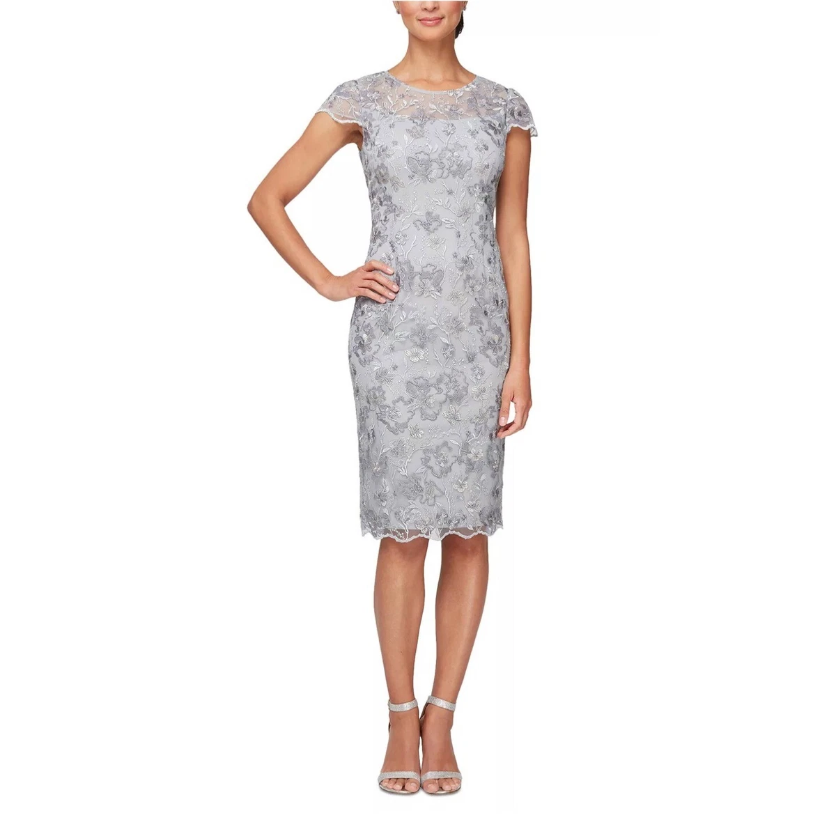 ALEX EVENINGS Petite Embroidered Sheath Round Neckline Dress Dove 6P  195078018993 | eBay